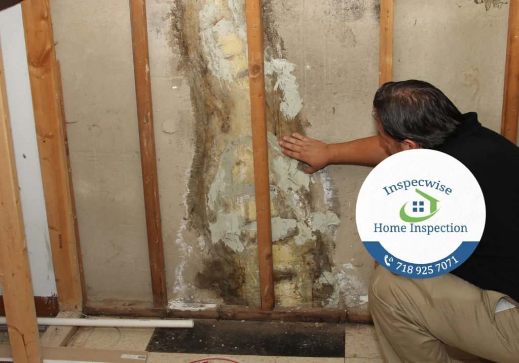 Home Inspection Manhattan