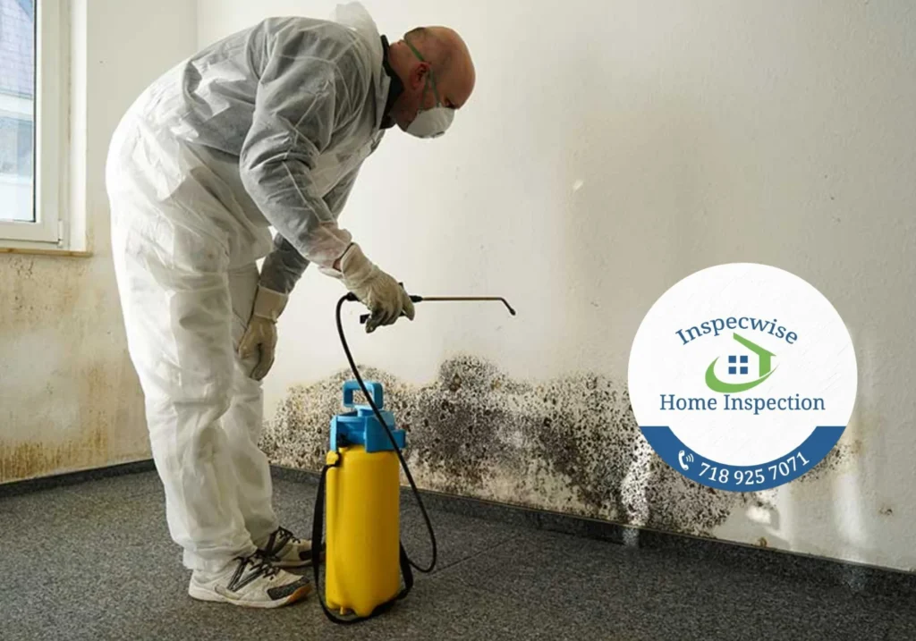 Home Inspection Staten Island