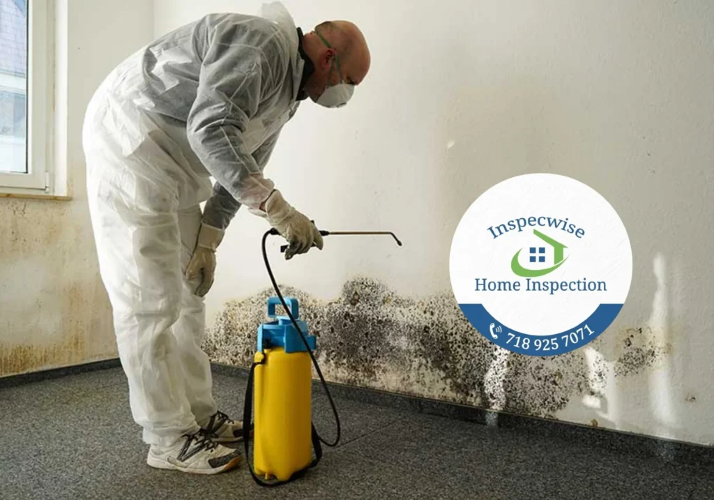 Home Mold Inspection