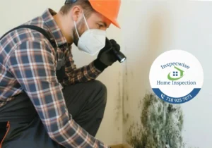 Basement Inspection NY