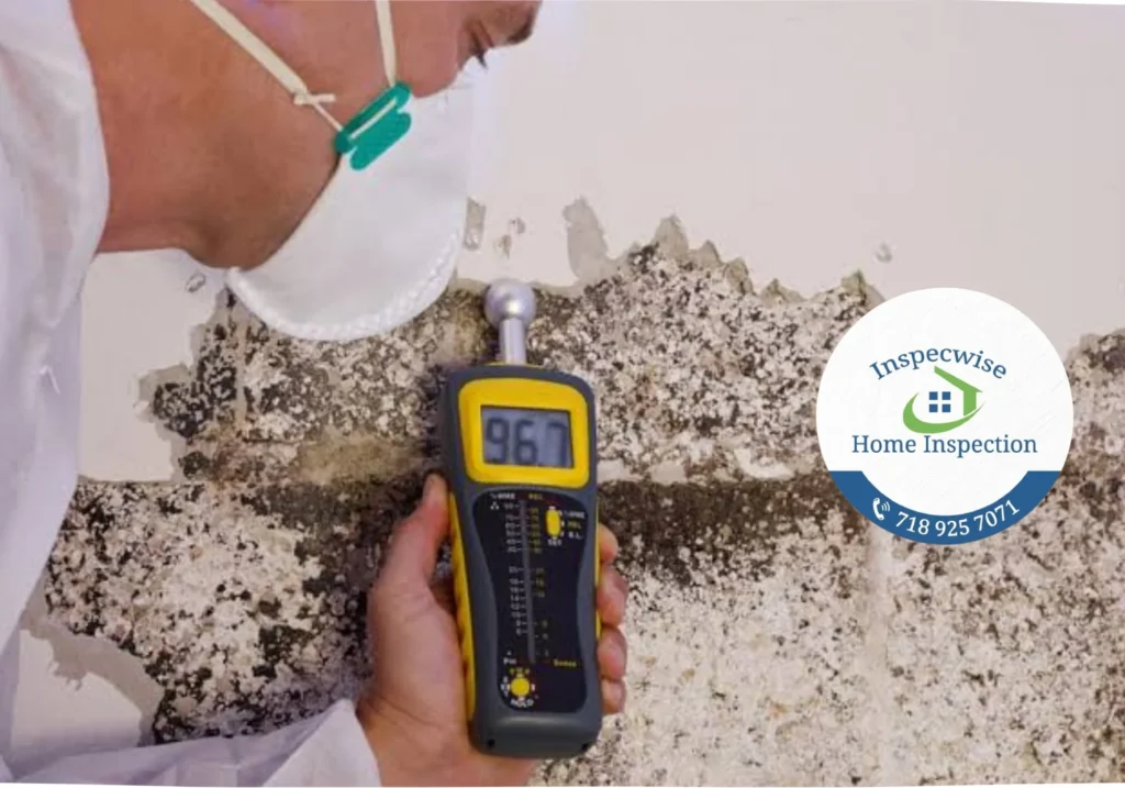 Mold Testing NYC & Long Island
