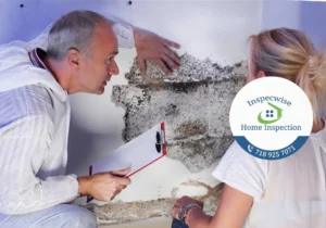 mold testing nyc